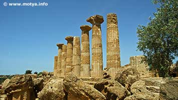 The columns of the temple of Herakles The columns of the temple of Herakles