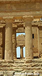 Detail of the columns of the temple of Concordia. Detail of the columns of the temple of Concordia.