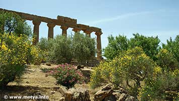 The temple of Juno The temple of Juno