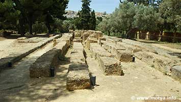 The foundations of the altar of the great temple of Zeus (Jupiter) Olympos. The foundations of the altar of the great temple of Zeus (Jupiter) Olympos.