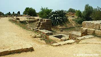 An overview of the foundations of the temple of Zeus, some parts have been restored. An overview of the foundations of the temple of Zeus, some parts have been restored.