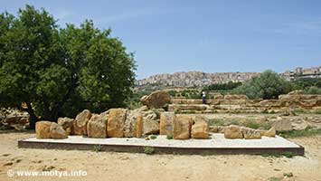 Another Telamon, in the background the town of Agrigento. Another Telamon, in the background the town of Agrigento.
