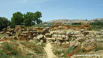 The other side of the temple of Zeus, the temple measured 112,6 m by 56,3 m The other side of the temple of Zeus, the temple measured 112,6 m by 56,3 m