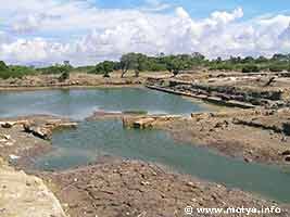 The Cothon after the first rains in september 2006. To the right the archeological excavations of a temple structure not yet ready. The Cothon after the first rains in september 2006. To the right the archeological excavations of a temple structure not yet ready.