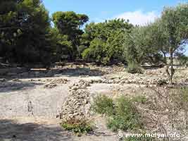 The area of the house of the amphorae The area of the house of the amphorae