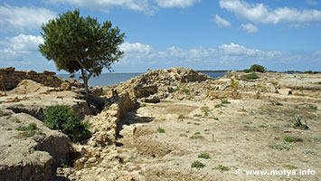 The South gate and a part of the perimeter wall (temenos) of the sanctuary adiacent to the Cothon excavated in the past years. The South gate and a part of the perimeter wall (temenos) of the sanctuary adiacent to the Cothon excavated in the past years.