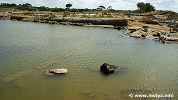 The Cothon in 2012 in may, filled with water. In the background the sanctuary. The Cothon in 2012 in may, filled with water. In the background the sanctuary.