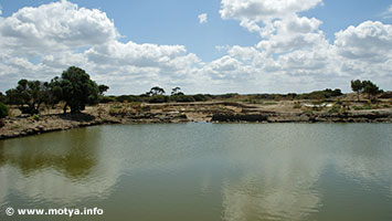 The Cothon and the sanctuary in may 2012. The Cothon and the sanctuary in may 2012.