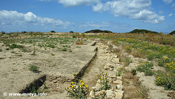 The perimeter wall on the other side of the Cothon The perimeter wall on the other side of the Cothon