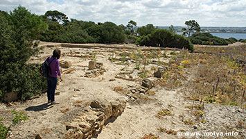Excavated living quarters of the 5th century BC, a street runs downhill to the coast. Excavated living quarters of the 5th century BC, a street runs downhill to the coast.